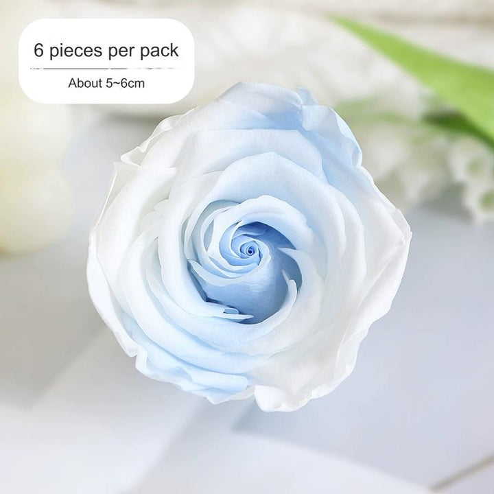 Premium Preserved Blue-White Rose for Floral Arrangements - 2-6cm