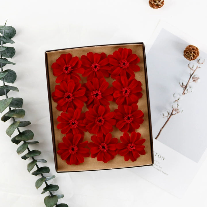 Preserved Daisy DIY Craft Kit – EarthMatters Imported Floral Material