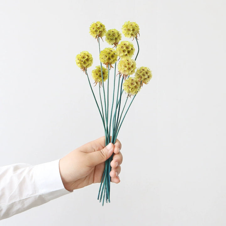 preserved-scabiosa-pods-3-4cm-single-flower-for-floral-arrangements