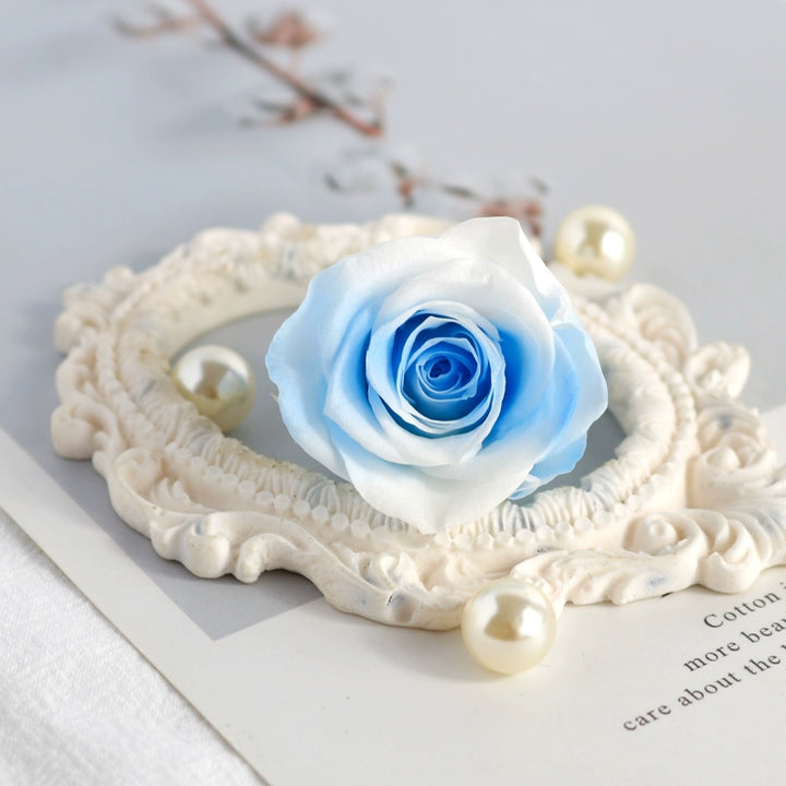 premium-preserved-rose-3-4cm-bloom-for-diy-floral-arrangements-and-gift-decor