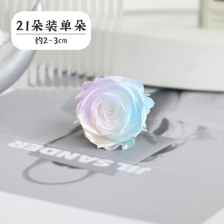 Pearlescent Preserved Rose For DIY Bouquet – 5-6CM Bloom for Crafting and Decor