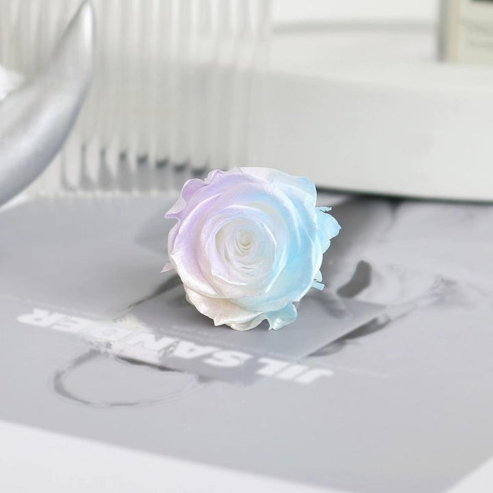 Pearlescent Preserved Rose For DIY Bouquet – 5-6CM Bloom for Crafting and Decor