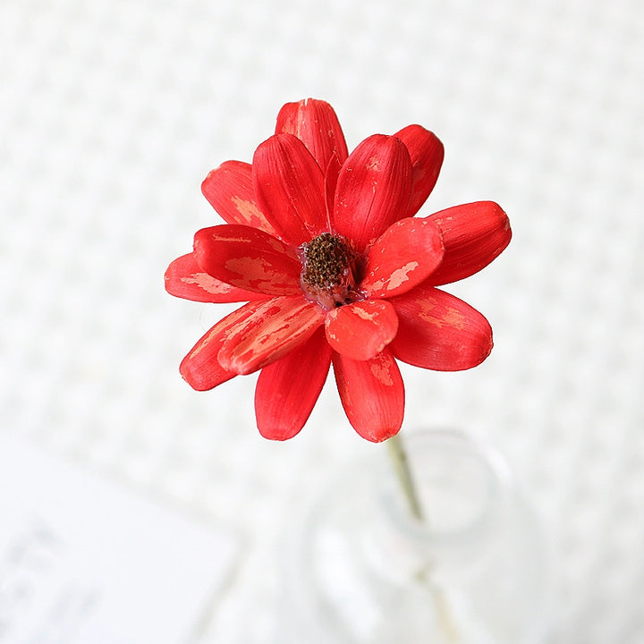 Colorful Preserved Daisy Flowers – Single Bloom for DIY Floral Crafts