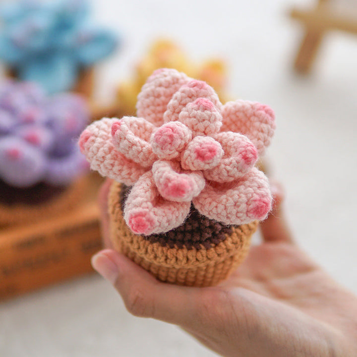 Crocheted Small Potted Succulent Plants