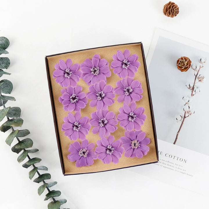 Preserved Daisy DIY Craft Kit – EarthMatters Imported Floral Material