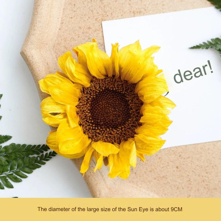 Preserved Sunflower – 7CM Single Bloom for DIY Floral Arrangements and Decor