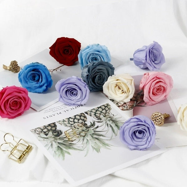 preserved-roses-5-6cm-single-rose-for-floral-decorations-and-gifts