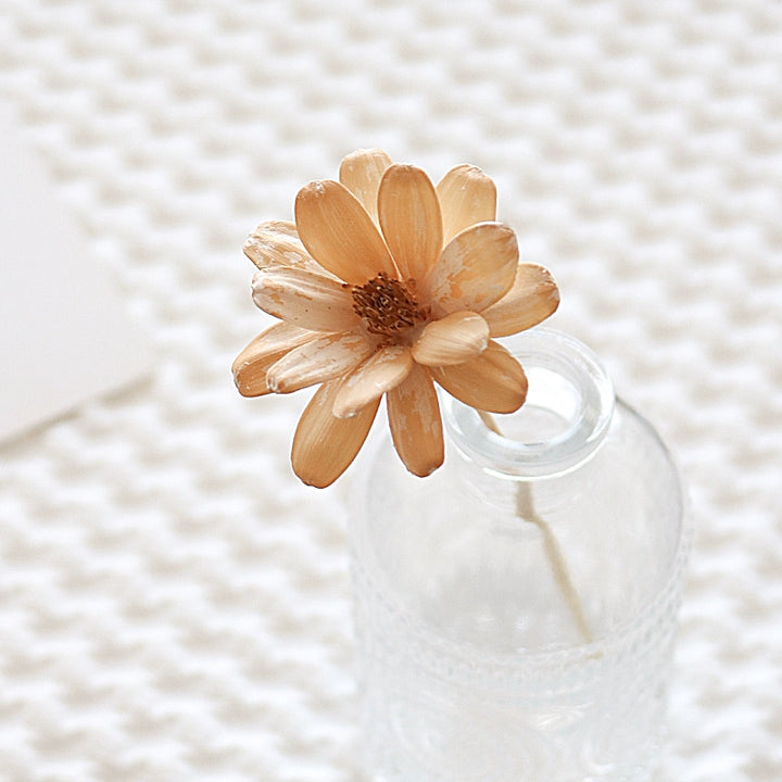 Colorful Preserved Daisy Flowers – Single Bloom for DIY Floral Crafts