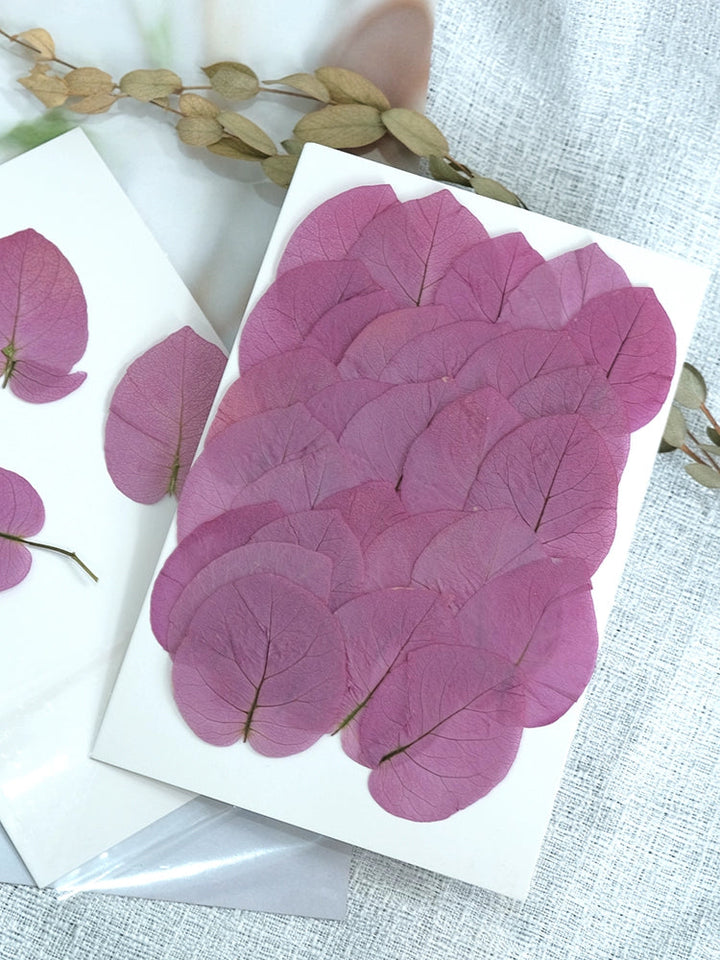 50 Pcs Dried Pressed Pink Leaves for Crafts