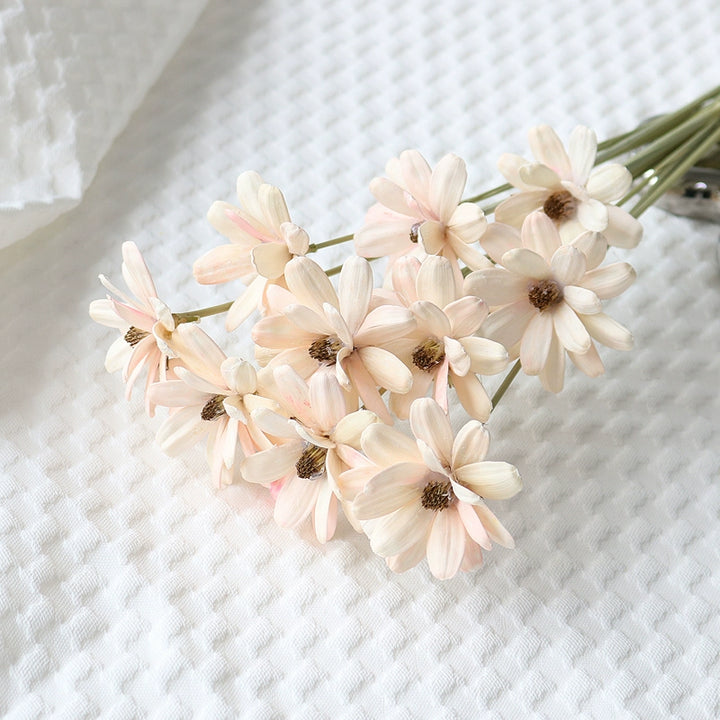 Colorful Preserved Daisy Flowers – Single Bloom for DIY Floral Crafts