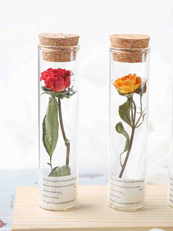 Dried Preserved Flower In Glass Test Tube