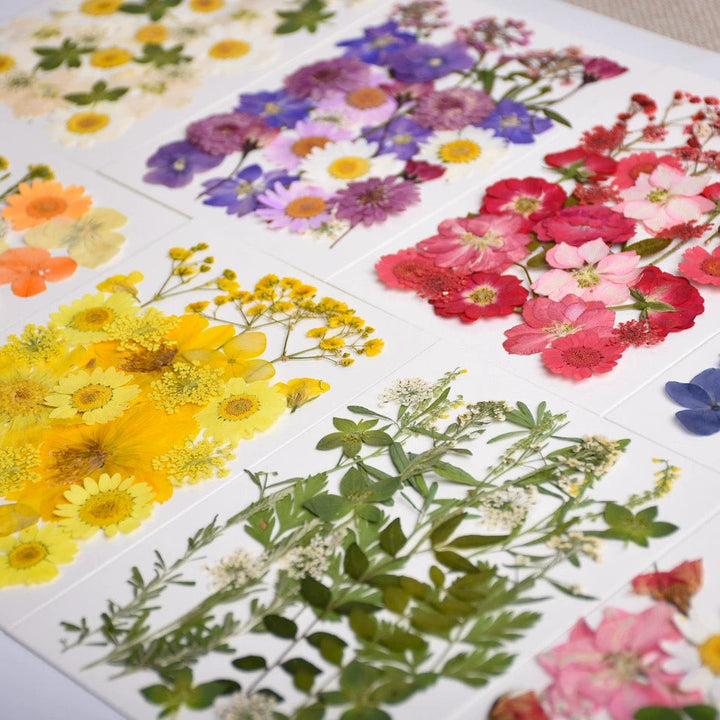 26 Pcs Real Dried Pressed Flowers for Resin Crafts