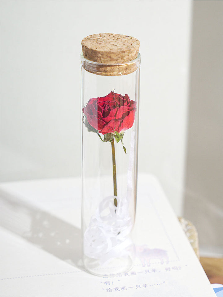 Dried Preserved Flower In Glass Test Tube