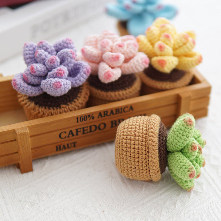 Crocheted Small Potted Succulent Plants