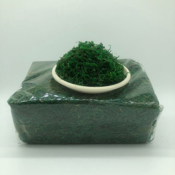 Bag of Moss Preserved Dried Green Moss for Planters