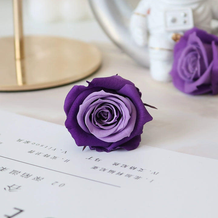 Elegant Preserved Primavera Roses - Single Bloom 3.5-4.5cm