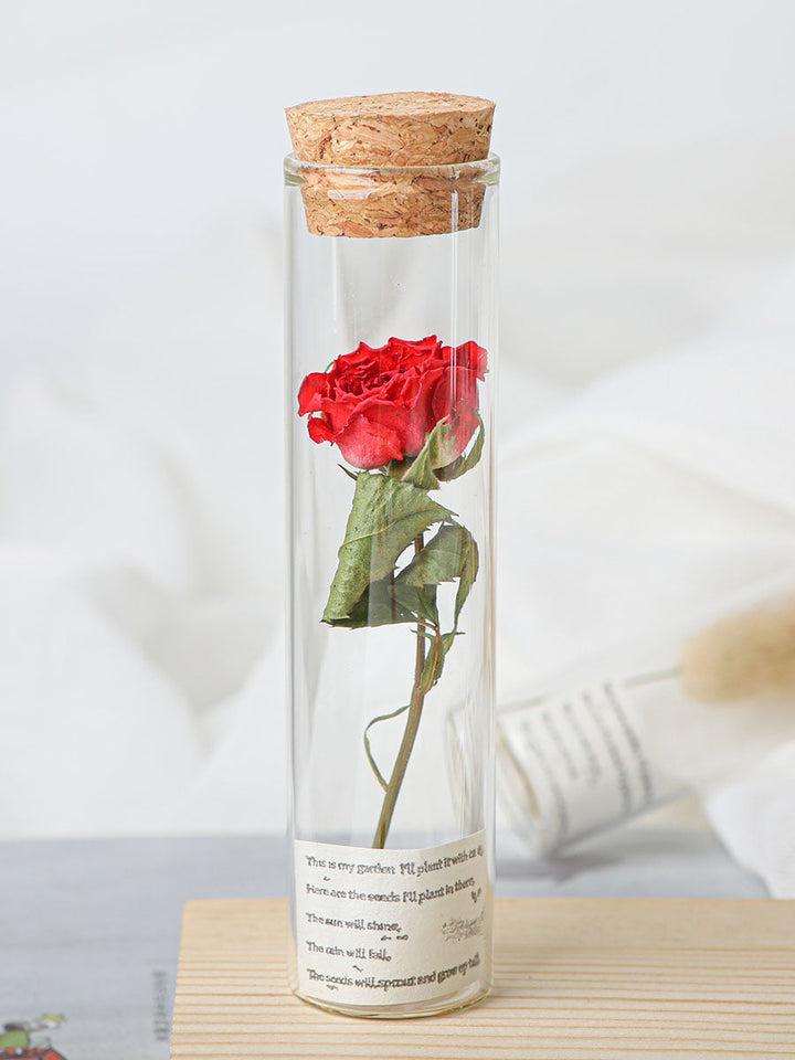 Dried Preserved Flower In Glass Test Tube