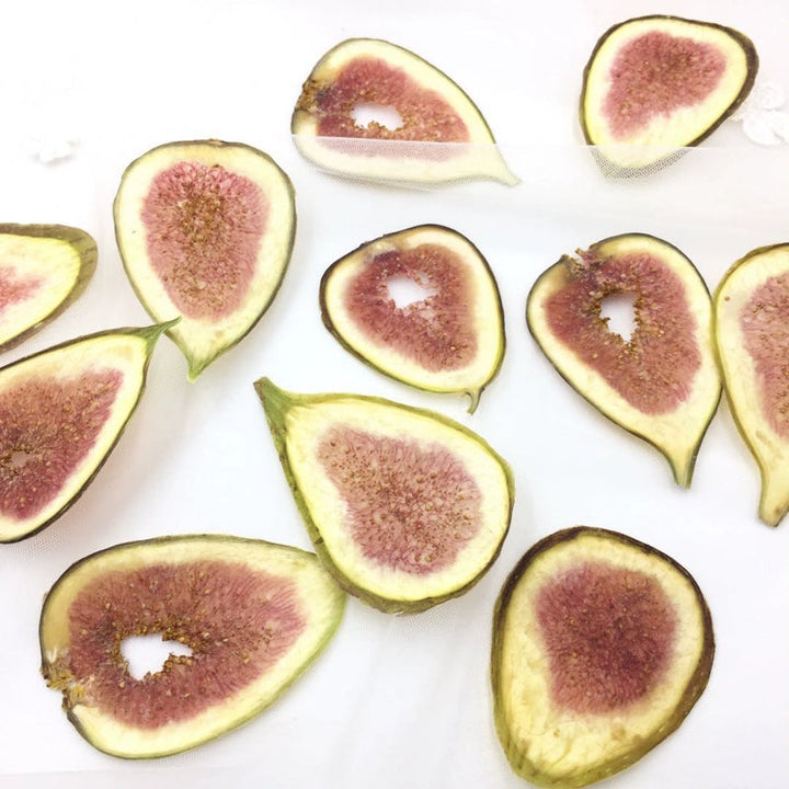 5 Pcs Dried Pressed Fig Slices for DIY Crafts