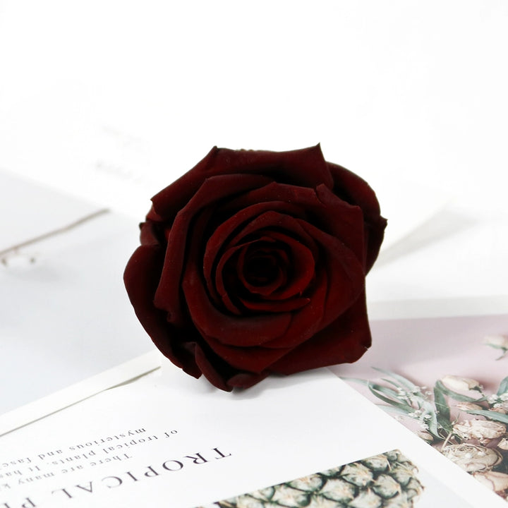 preserved-roses-5-6cm-single-rose-for-floral-decorations-and-gifts