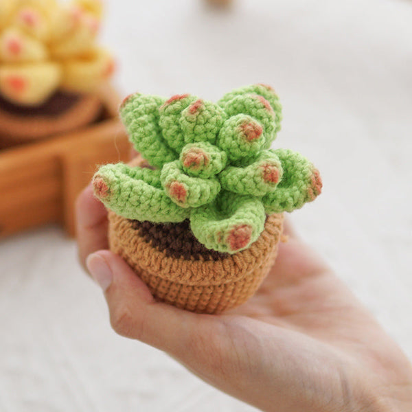 Crocheted Small Potted Succulent Plants