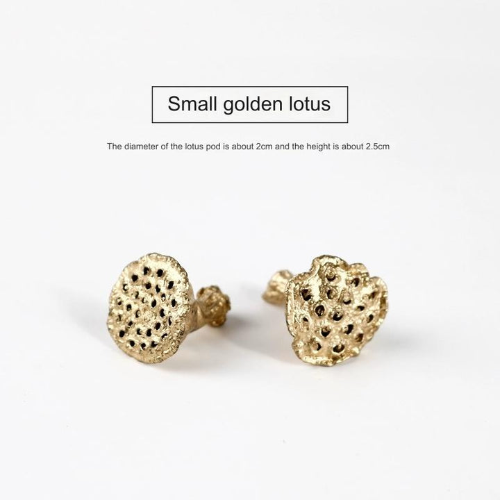 EarthMatters Preserved Lotus Pods for DIY Crafts and Floral Decor