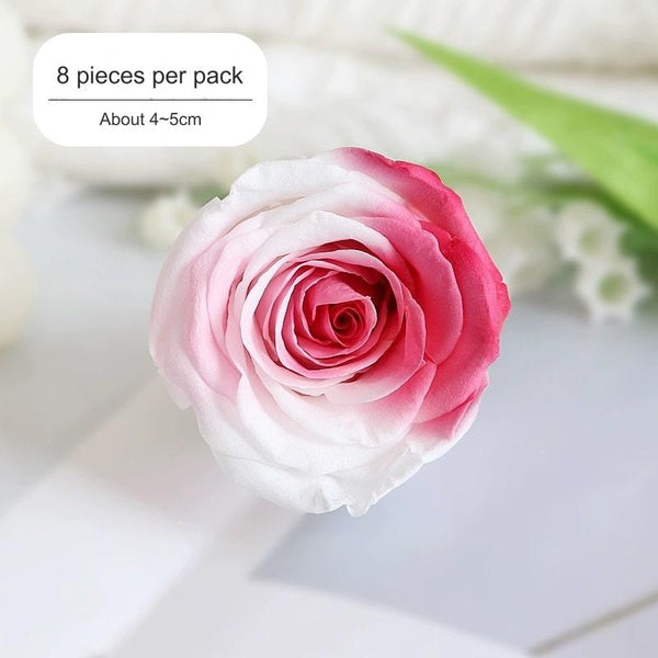 Premium Preserved Pink-White Rose, 2-6cm