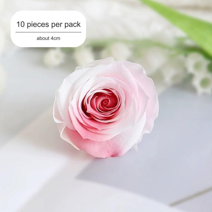 Premium Preserved Pink-White Rose, 2-6cm