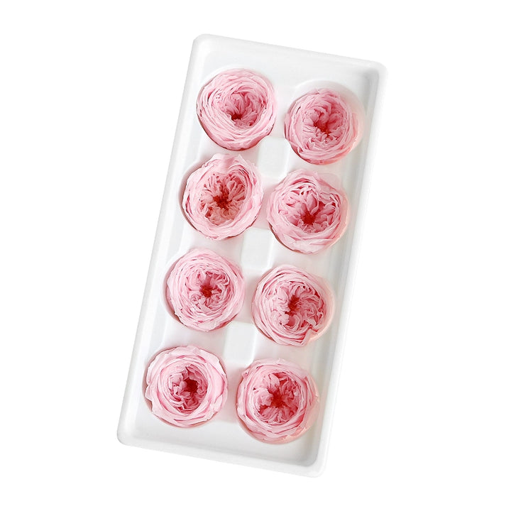 diy-preserved-david-austin-roses-craft-kit-pack-of-8-4-5cm-blooms-for-floral-decorations