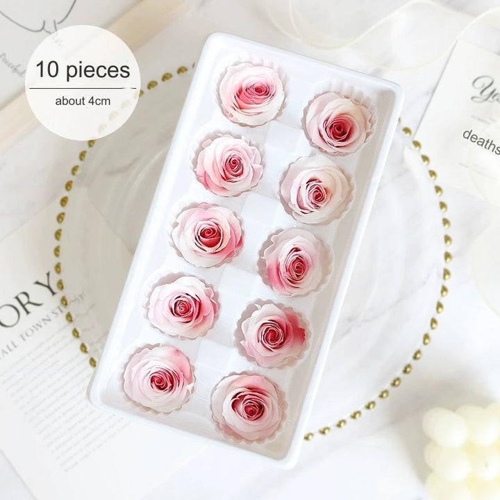 Premium Preserved Pink-White Rose, 2-6cm