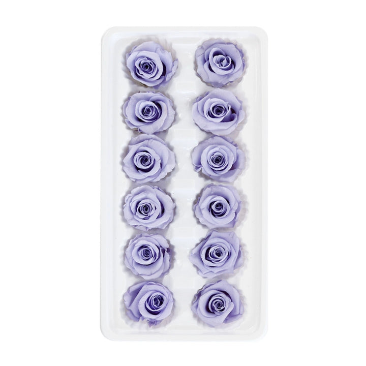 preserved-gradient-roses-12-pieces-3-4cm-blooms-for-floral-crafts