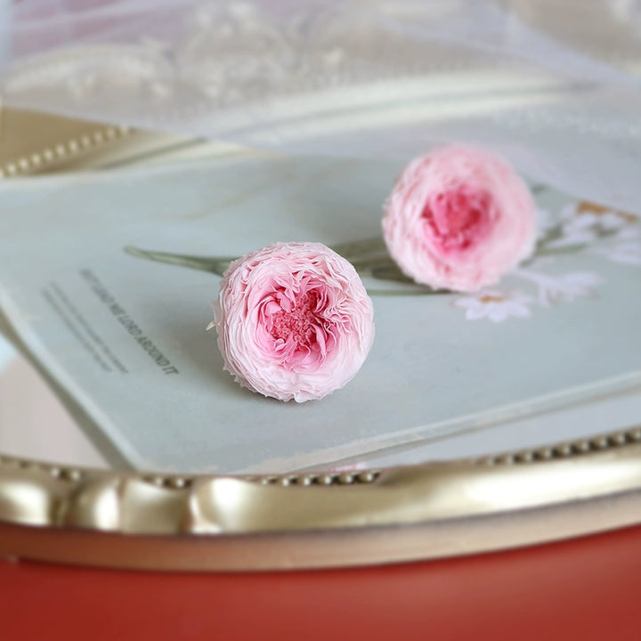 Mini David Austin Preserved Roses – 2-3CM DIY Craft Kit