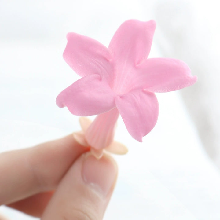 preserved-jasmine-flower-1-piece-3-4cm-bloom-for-diy-floral-arrangements-and-craft