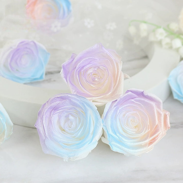 Pearlescent Preserved Rose For DIY Bouquet – 5-6CM Bloom for Crafting and Decor