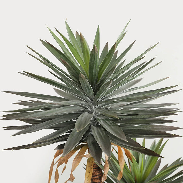 Artificial Yucca Tree for Home and Hotel Décor – Faux Tropical Green Plant