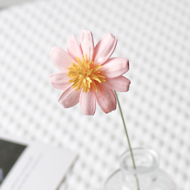 Colorful Preserved Daisy Flowers – Single Bloom for DIY Floral Crafts