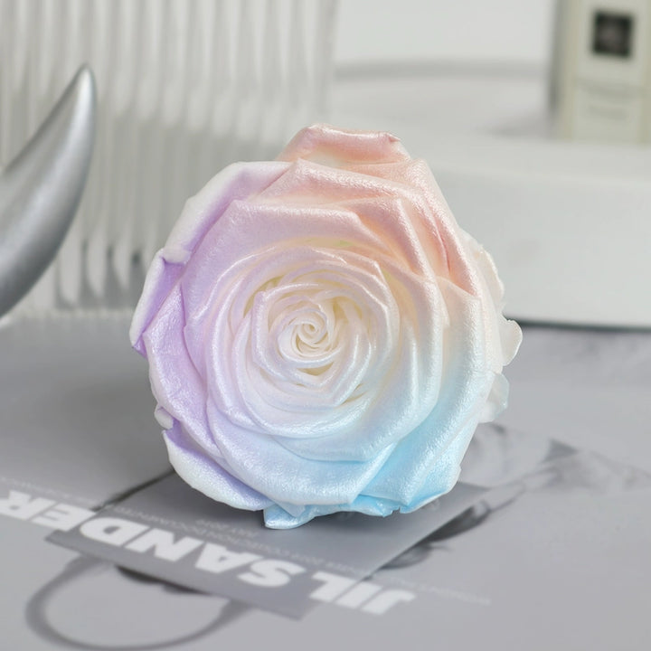 Iridescent Preserved Roses, 2-6cm Pack