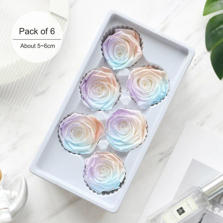 Iridescent Preserved Roses, 2-6cm Pack