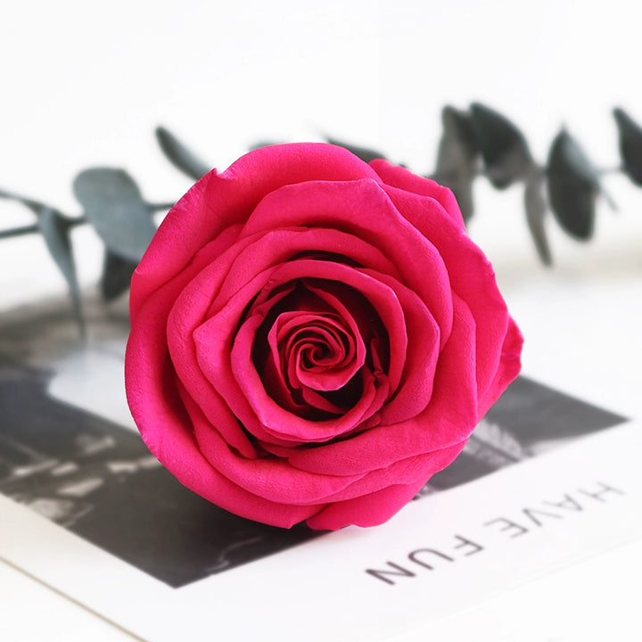 Preserved Single Rose Head for DIY Crafting – 4-5cm, Multiple Color Options