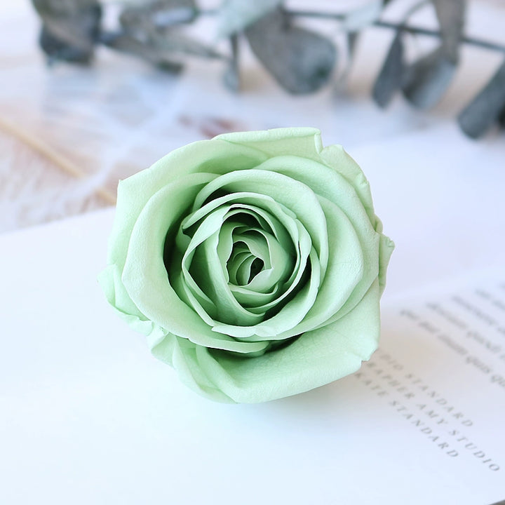 Preserved Single Rose Head for DIY Crafting – 4-5cm, Multiple Color Options