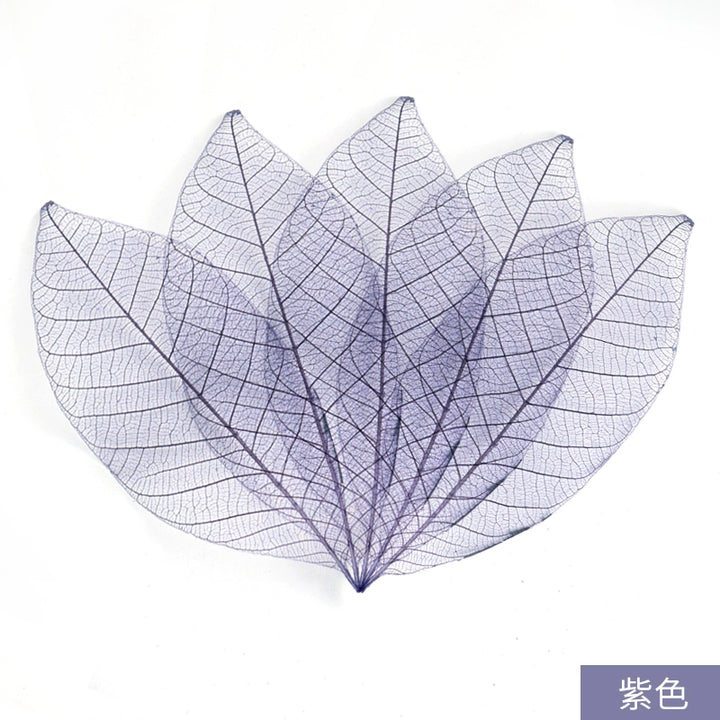 transparent-skeleton-leaves-for-diy-floral-decoration-7-9cm-multi-color-preserved-leaves