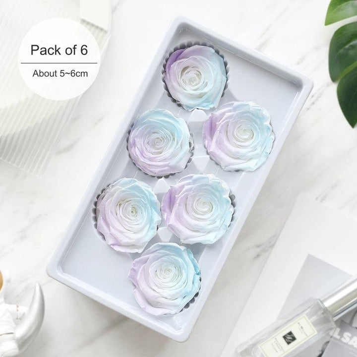 Iridescent Preserved Roses, 2-6cm Pack