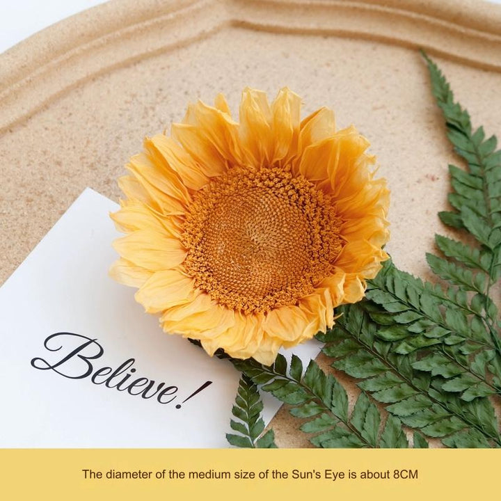 Preserved Sunflower – 7CM Single Bloom for DIY Floral Arrangements and Decor