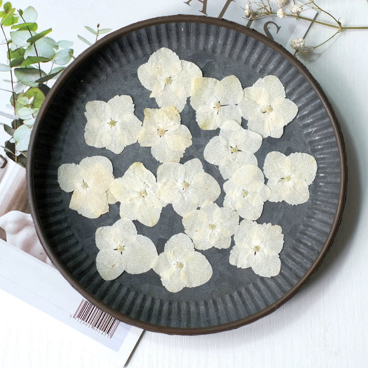 50 Pcs Pressed Dried Hydrangea Flower for DIY Crafts