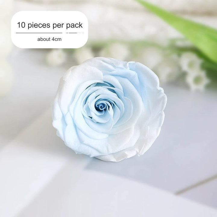 Premium Preserved Blue-White Rose for Floral Arrangements - 2-6cm