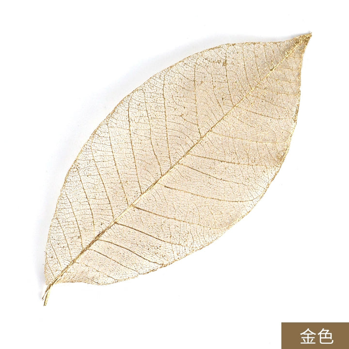 transparent-skeleton-leaves-for-diy-floral-decoration-7-9cm-multi-color-preserved-leaves