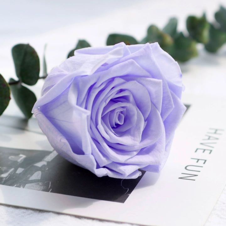 Preserved Single Rose Head for DIY Crafting – 4-5cm, Multiple Color Options