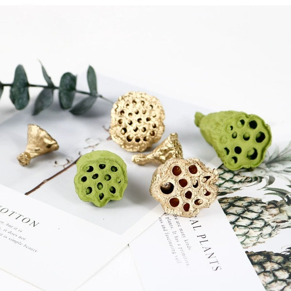 EarthMatters Preserved Lotus Pods for DIY Crafts and Floral Decor
