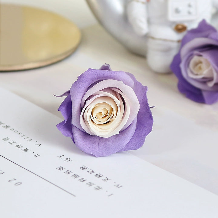 Elegant Preserved Primavera Roses - Single Bloom 3.5-4.5cm