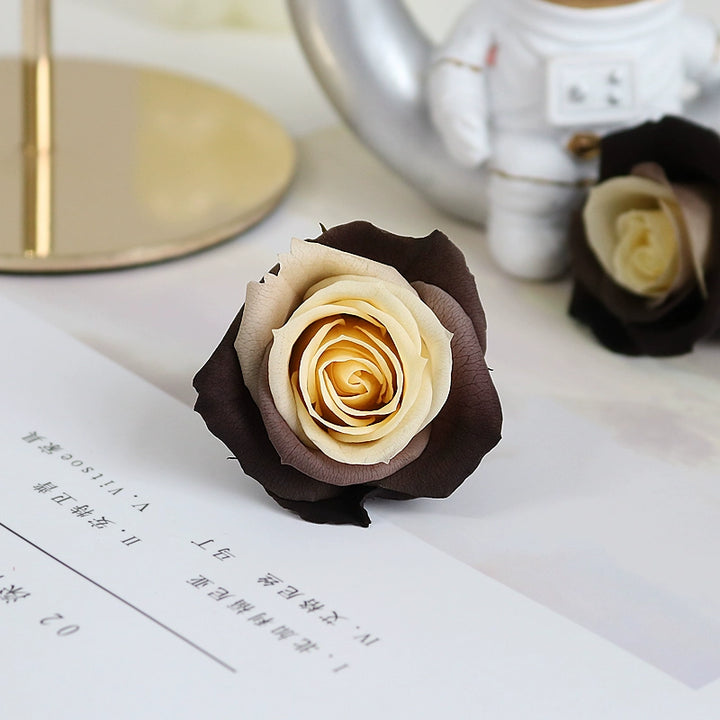 Elegant Preserved Primavera Roses - Single Bloom 3.5-4.5cm