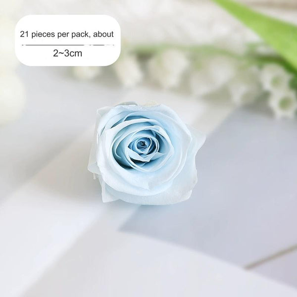 Premium Preserved Blue-White Rose for Floral Arrangements - 2-6cm